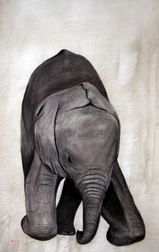 BB Elephant Elephant-baby Thierry Bisch Contemporary painter animals painting art  nature biodiversity conservation 