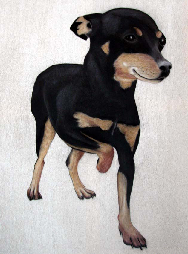 Chien Pinscher dog-pinscher-miniature-pinscher-pet Thierry Bisch Contemporary painter animals painting art  nature biodiversity conservation 