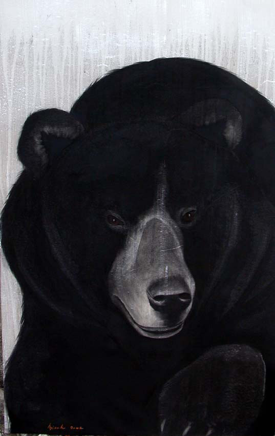 Kodiak Bear Thierry Bisch Contemporary painter animals painting art  nature biodiversity conservation Monaco Prince-Albert Prince-Albert-of-Monaco 