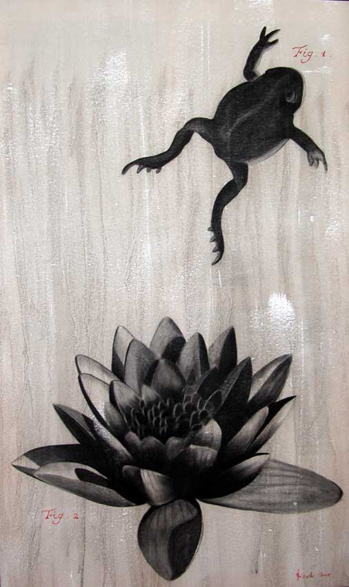 Water-lilly frog Thierry Bisch Contemporary painter animals painting art  nature biodiversity conservation Monaco Prince-Albert Prince-Albert-of-Monaco 