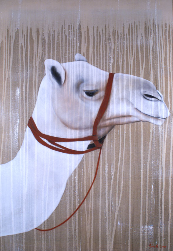 WHITE CAMEL Camel-dromedary-white Thierry Bisch Contemporary painter animals painting art  nature biodiversity conservation Monaco Prince-Albert Prince-Albert-of-Monaco 