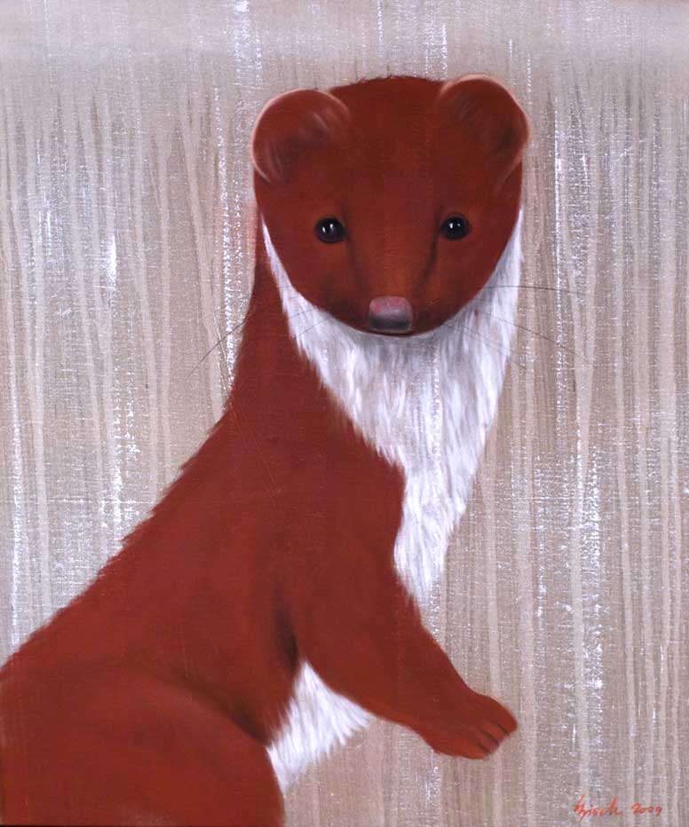 HERMINE ROUGE ermine Thierry Bisch Contemporary painter animals painting art  nature biodiversity conservation 