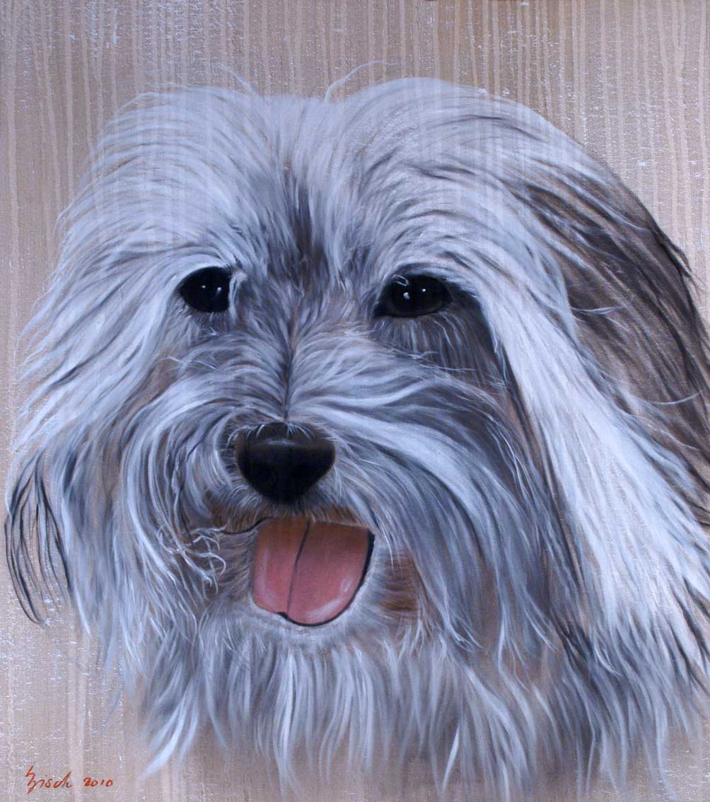 Chien Cotton de Thulear dog-cotton-Thulear-pet Thierry Bisch Contemporary painter animals painting art  nature biodiversity conservation Monaco Prince-Albert Prince-Albert-of-Monaco 