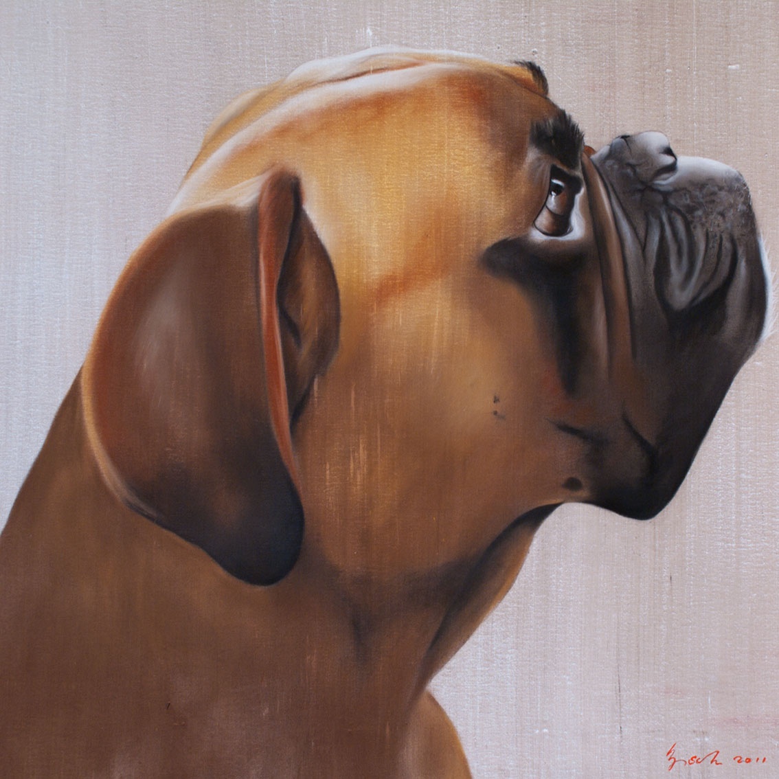 COHIBA boxer-dog-pet Thierry Bisch Contemporary painter animals painting art  nature biodiversity conservation 