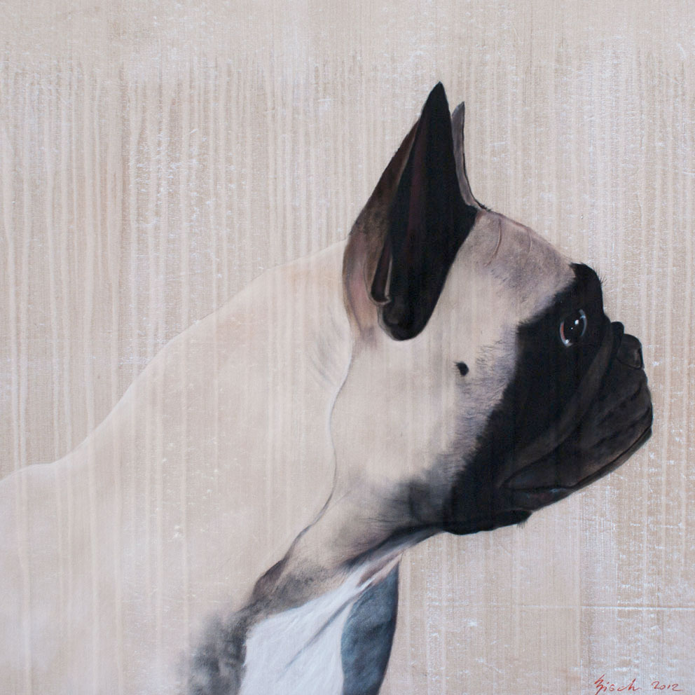 Felicia pug-dog-pet Thierry Bisch Contemporary painter animals painting art  nature biodiversity conservation Monaco Prince-Albert Prince-Albert-of-Monaco 