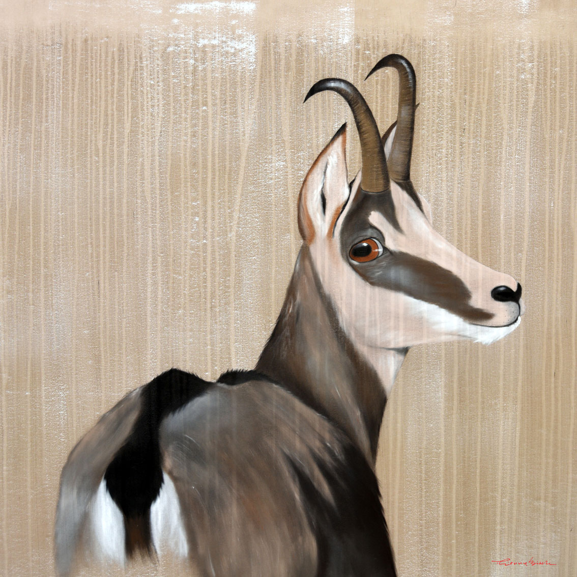 MOTIONLESS CHAMOIS CHAMOIS Thierry Bisch Contemporary painter animals painting art  nature biodiversity conservation 