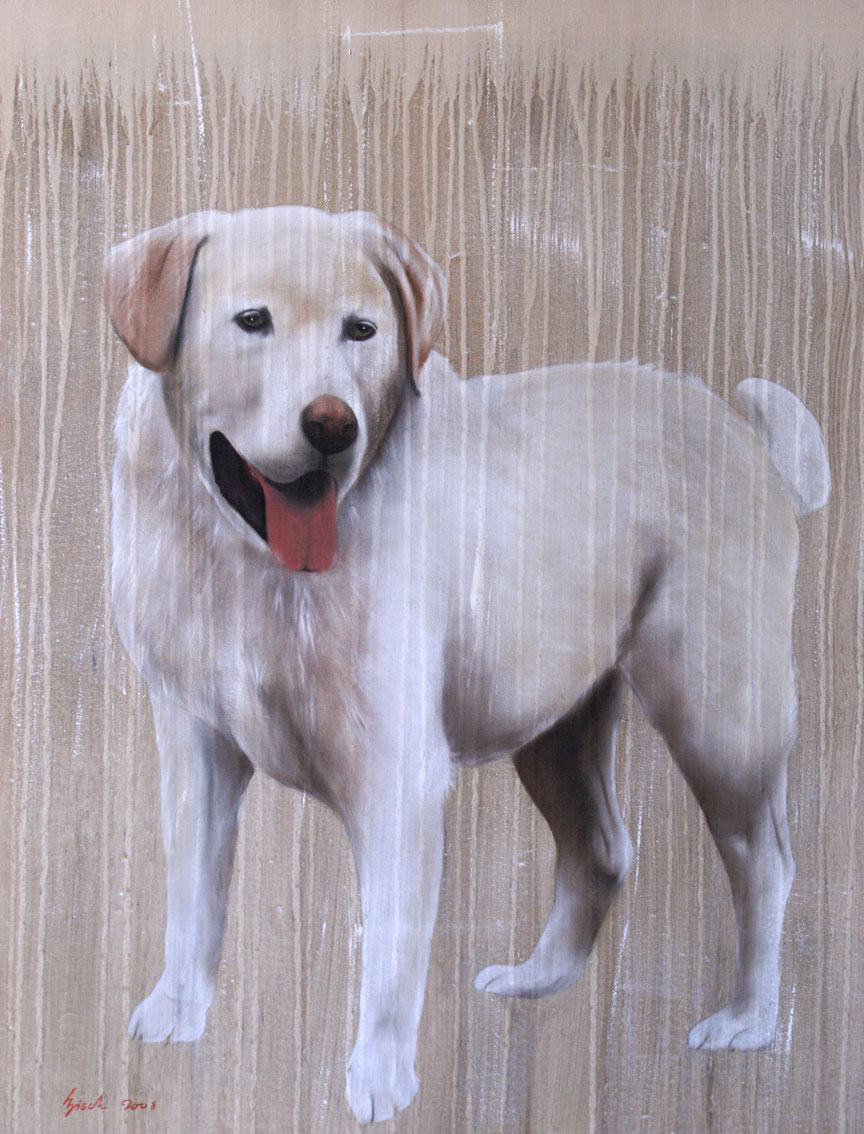 REA labrador-dog-hound-golden-retriever-white-dog-pet Thierry Bisch Contemporary painter animals painting art  nature biodiversity conservation Monaco Prince-Albert Prince-Albert-of-Monaco 