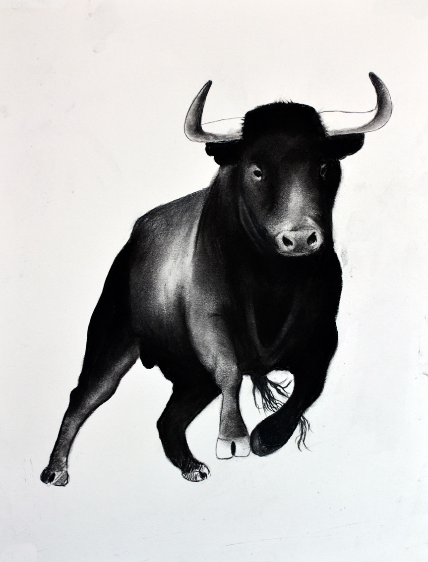 BULL-02 animal-painting Thierry Bisch Contemporary painter animals painting art  nature biodiversity conservation Monaco Prince-Albert Prince-Albert-of-Monaco 
