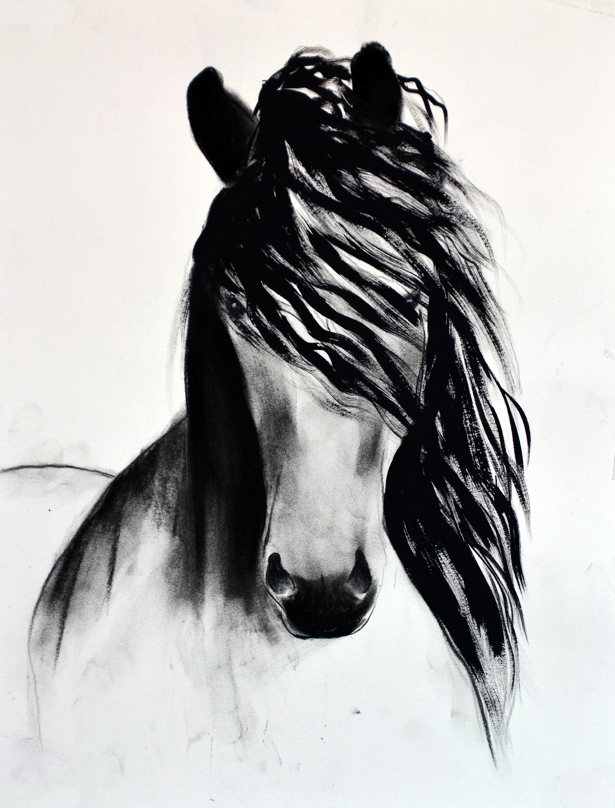 FRIESIAN-HORSE-01 animal-painting Thierry Bisch Contemporary painter animals painting art  nature biodiversity conservation Monaco Prince-Albert Prince-Albert-of-Monaco 
