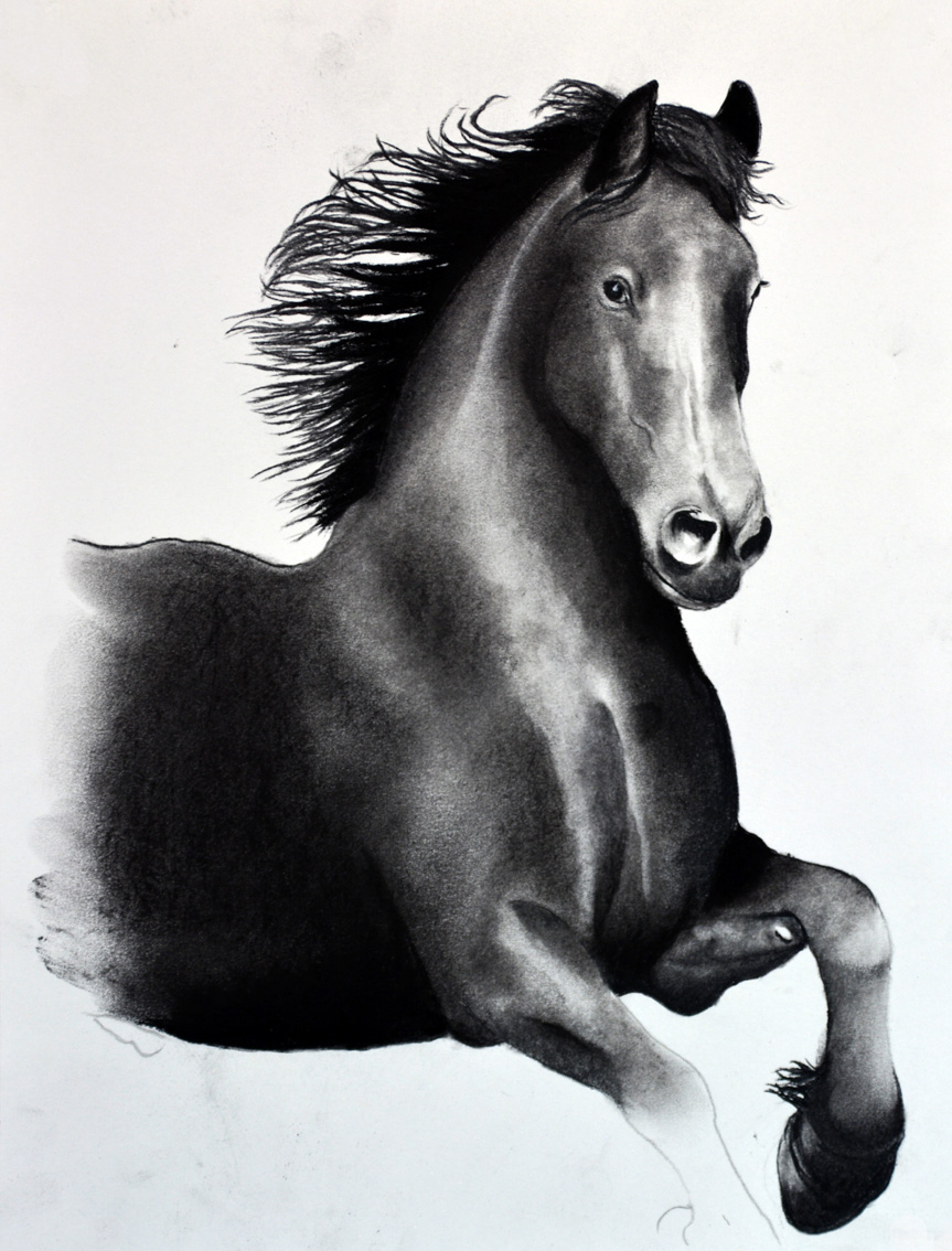 FRIESIAN-HORSE-03 animal-painting Thierry Bisch Contemporary painter animals painting art  nature biodiversity conservation 