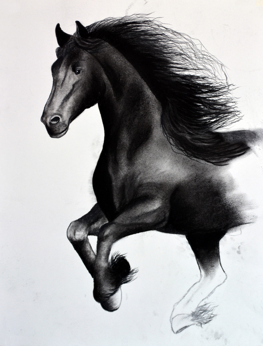 FRIESIAN-HORSE-04 animal-painting Thierry Bisch Contemporary painter animals painting art  nature biodiversity conservation Monaco Prince-Albert Prince-Albert-of-Monaco 
