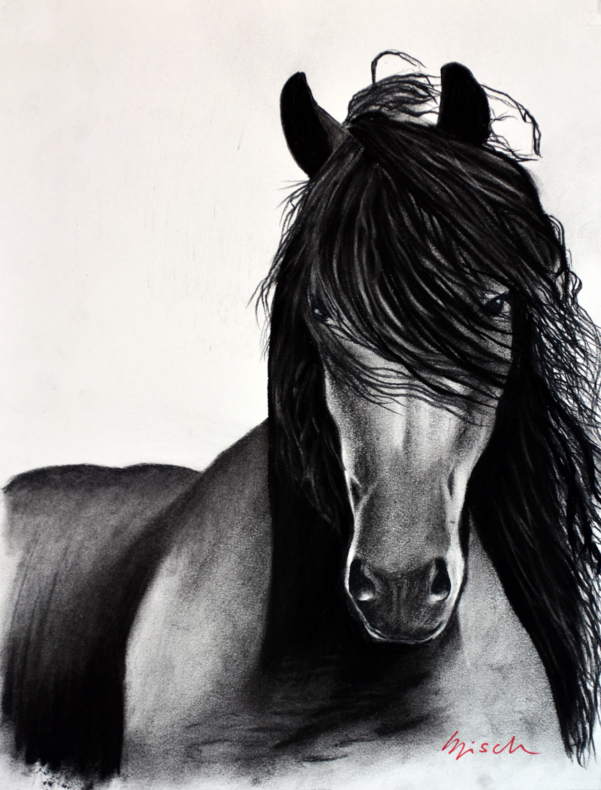 FRIESIAN-HORSE-06 animal-painting Thierry Bisch Contemporary painter animals painting art  nature biodiversity conservation Monaco Prince-Albert Prince-Albert-of-Monaco 
