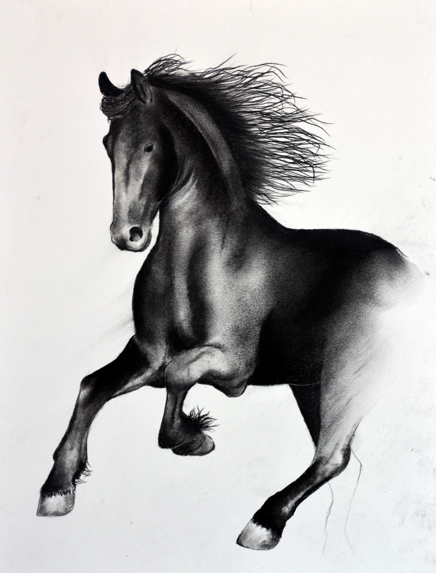 FRIESIAN-HORSE-07 animal-painting Thierry Bisch Contemporary painter animals painting art  nature biodiversity conservation Monaco Prince-Albert Prince-Albert-of-Monaco 
