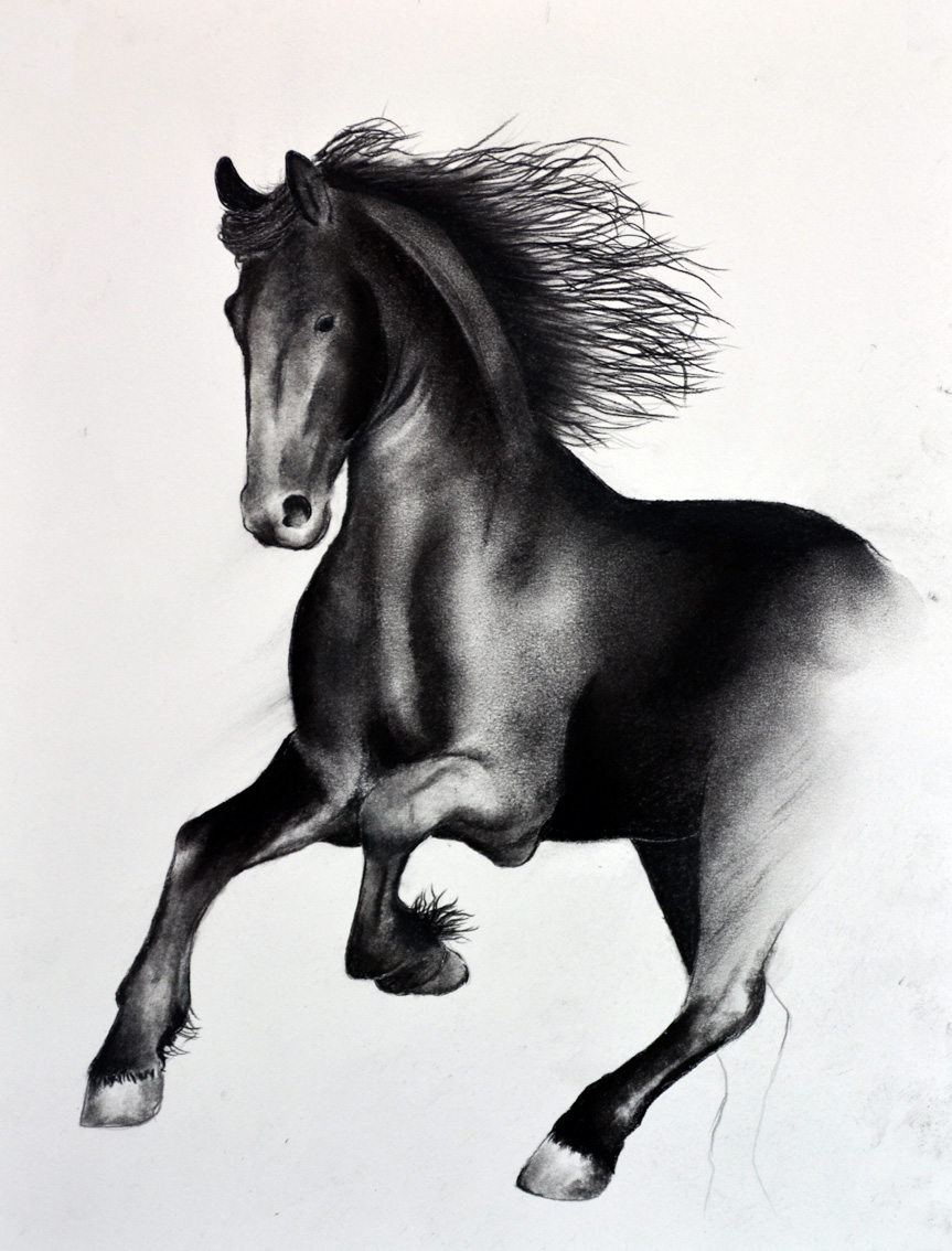 FRIESIAN-HORSE-07 animal-painting Thierry Bisch Contemporary painter animals painting art  nature biodiversity conservation 