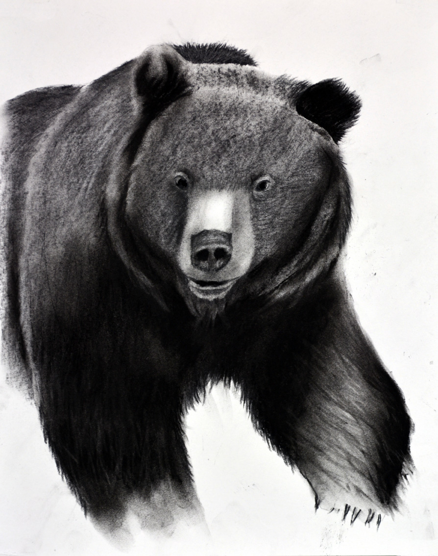 GRIZZLY-02 animal-painting Thierry Bisch Contemporary painter animals painting art  nature biodiversity conservation Monaco Prince-Albert Prince-Albert-of-Monaco 