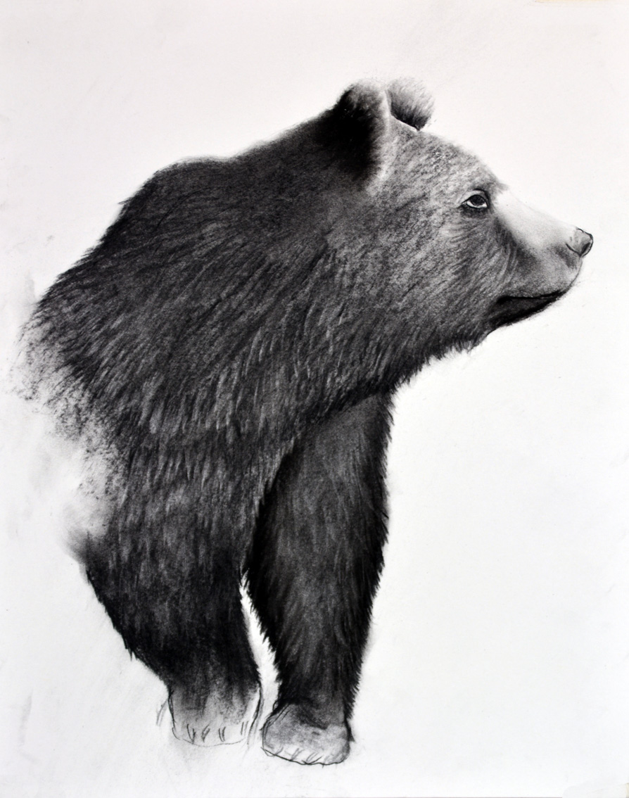 GRIZZLY-03 animal-painting Thierry Bisch Contemporary painter animals painting art  nature biodiversity conservation 