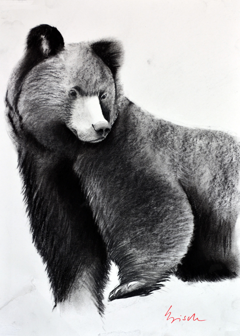 GRIZZLY-05 animal-painting Thierry Bisch Contemporary painter animals painting art  nature biodiversity conservation Monaco Prince-Albert Prince-Albert-of-Monaco 