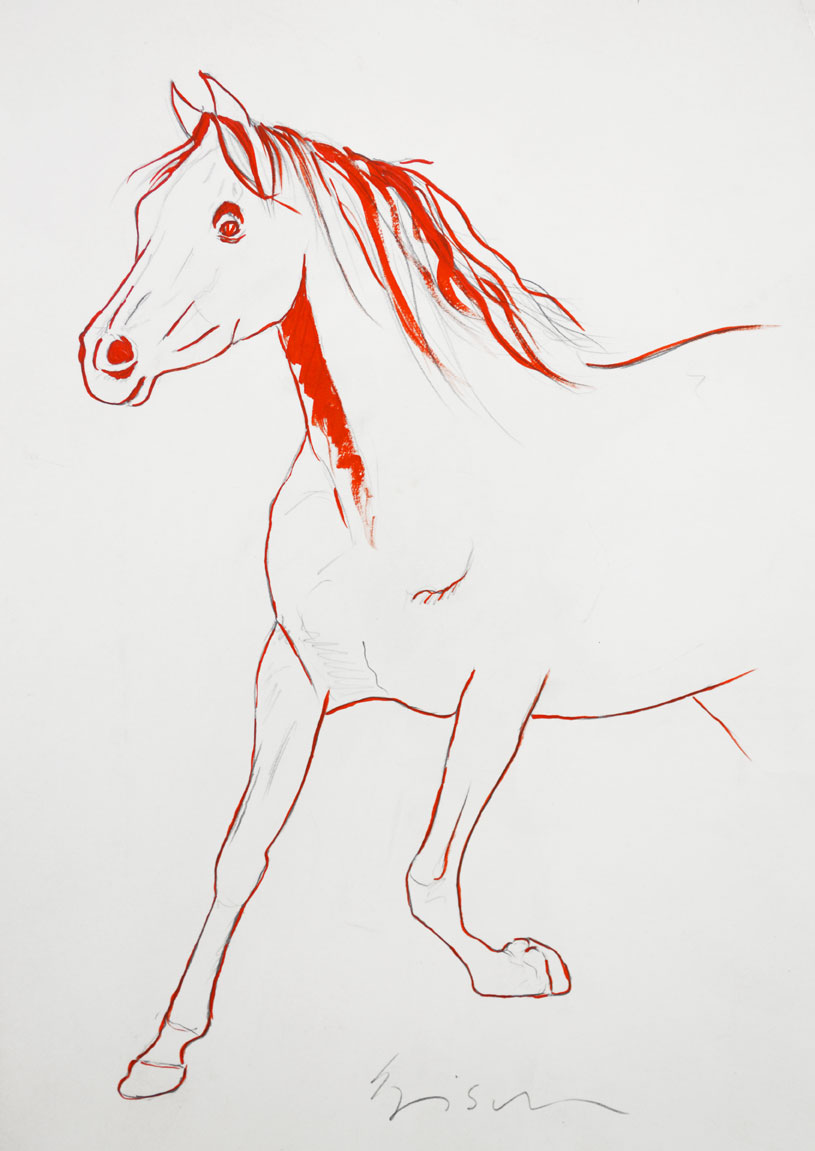 ARABIAN animal-painting Thierry Bisch Contemporary painter animals painting art  nature biodiversity conservation Monaco Prince-Albert Prince-Albert-of-Monaco 