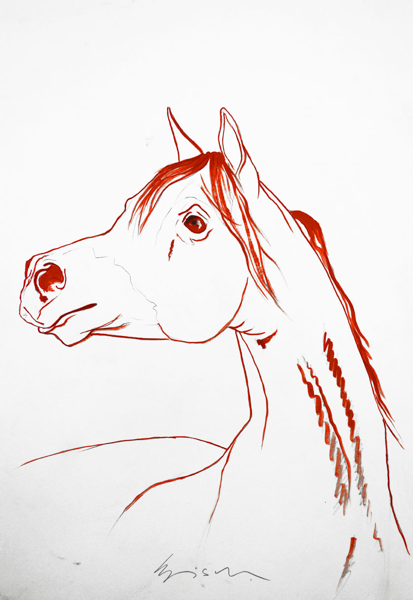 ARABIAN animal-painting Thierry Bisch Contemporary painter animals painting art  nature biodiversity conservation Monaco Prince-Albert Prince-Albert-of-Monaco 