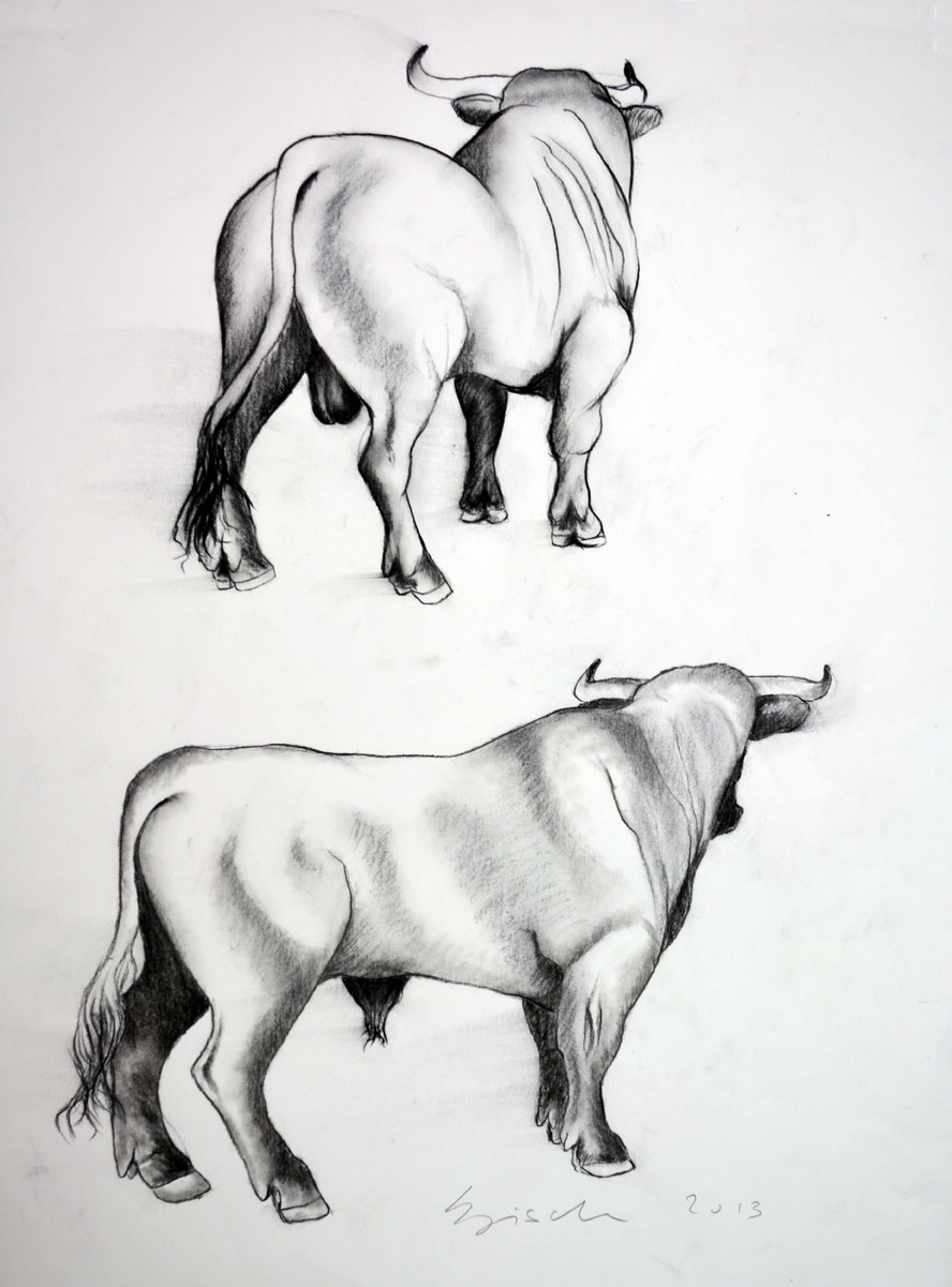 BULLS animal-painting Thierry Bisch Contemporary painter animals painting art  nature biodiversity conservation Monaco Prince-Albert Prince-Albert-of-Monaco 