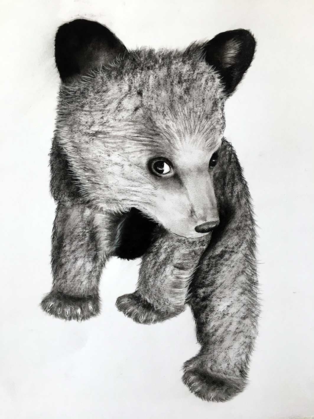 BEAR-CUB-2 bear-cub Thierry Bisch Contemporary painter animals painting art  nature biodiversity conservation Monaco Prince-Albert Prince-Albert-of-Monaco 