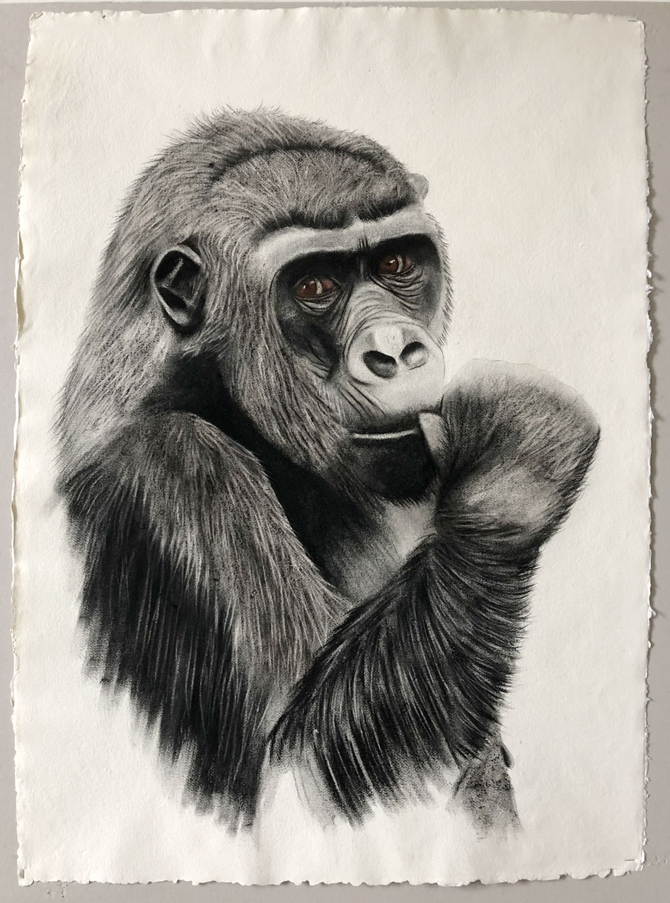 MADAME-GORILLE gorilla Thierry Bisch Contemporary painter animals painting art  nature biodiversity conservation Monaco Prince-Albert Prince-Albert-of-Monaco 