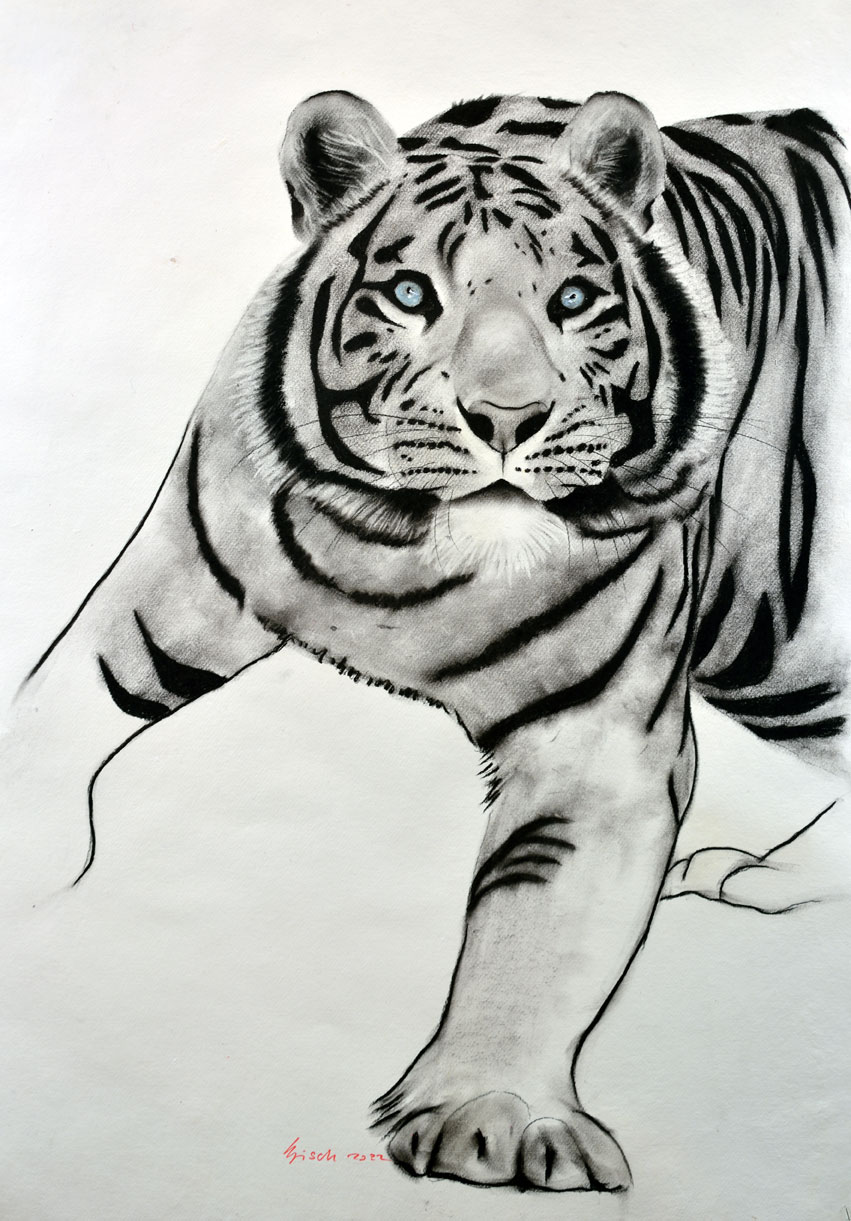 PANTHERA-TIGRIS tiger-panthera-tigris Thierry Bisch Contemporary painter animals painting art  nature biodiversity conservation Monaco Prince-Albert Prince-Albert-of-Monaco 
