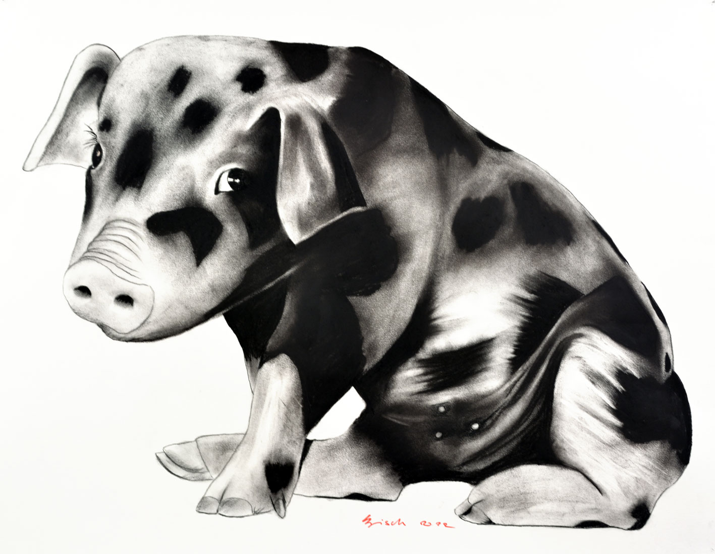 SWEET-PIGGY pig-piggy-piglet- Thierry Bisch Contemporary painter animals painting art  nature biodiversity conservation Monaco Prince-Albert Prince-Albert-of-Monaco 