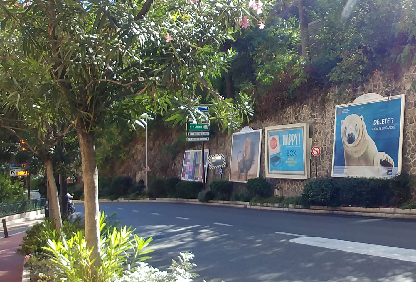 Delete-campaign-Monaco-2018 animal-painting Thierry Bisch Contemporary painter animals painting art  nature biodiversity conservation Monaco Prince-Albert Prince-Albert-of-Monaco 