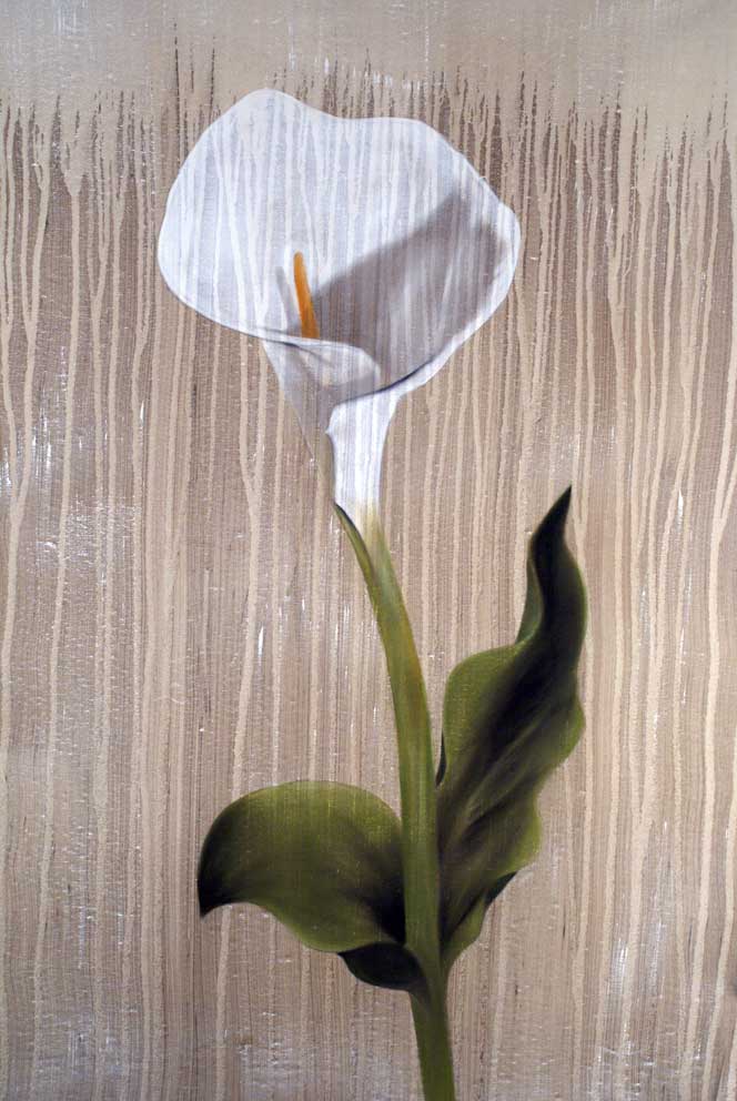 Arum Flower Thierry Bisch Contemporary painter animals painting art  nature biodiversity conservation Monaco Prince-Albert Prince-Albert-of-Monaco 