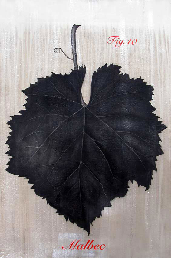 fig.10-Malbec Flower-leaf- Thierry Bisch Contemporary painter animals painting art  nature biodiversity conservation Monaco Prince-Albert Prince-Albert-of-Monaco 