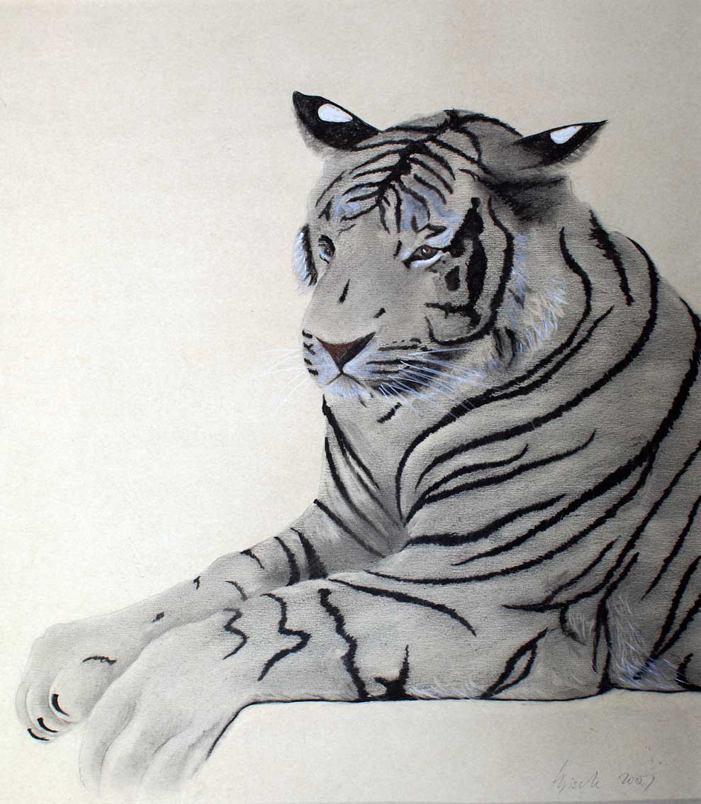 Tigre Tiger Thierry Bisch Contemporary painter animals painting art  nature biodiversity conservation Monaco Prince-Albert Prince-Albert-of-Monaco 