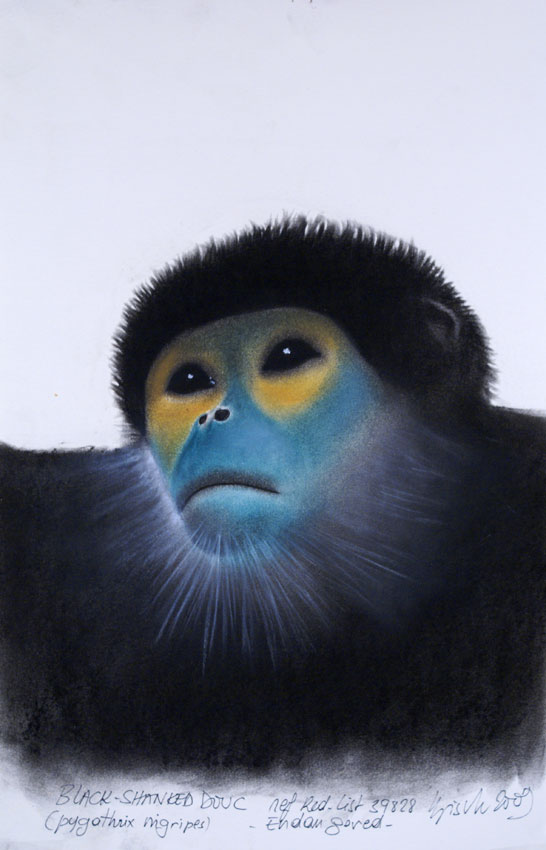 BLACK-SHANKED-DOUC Monkey-ape Thierry Bisch Contemporary painter animals painting art  nature biodiversity conservation Monaco Prince-Albert Prince-Albert-of-Monaco 