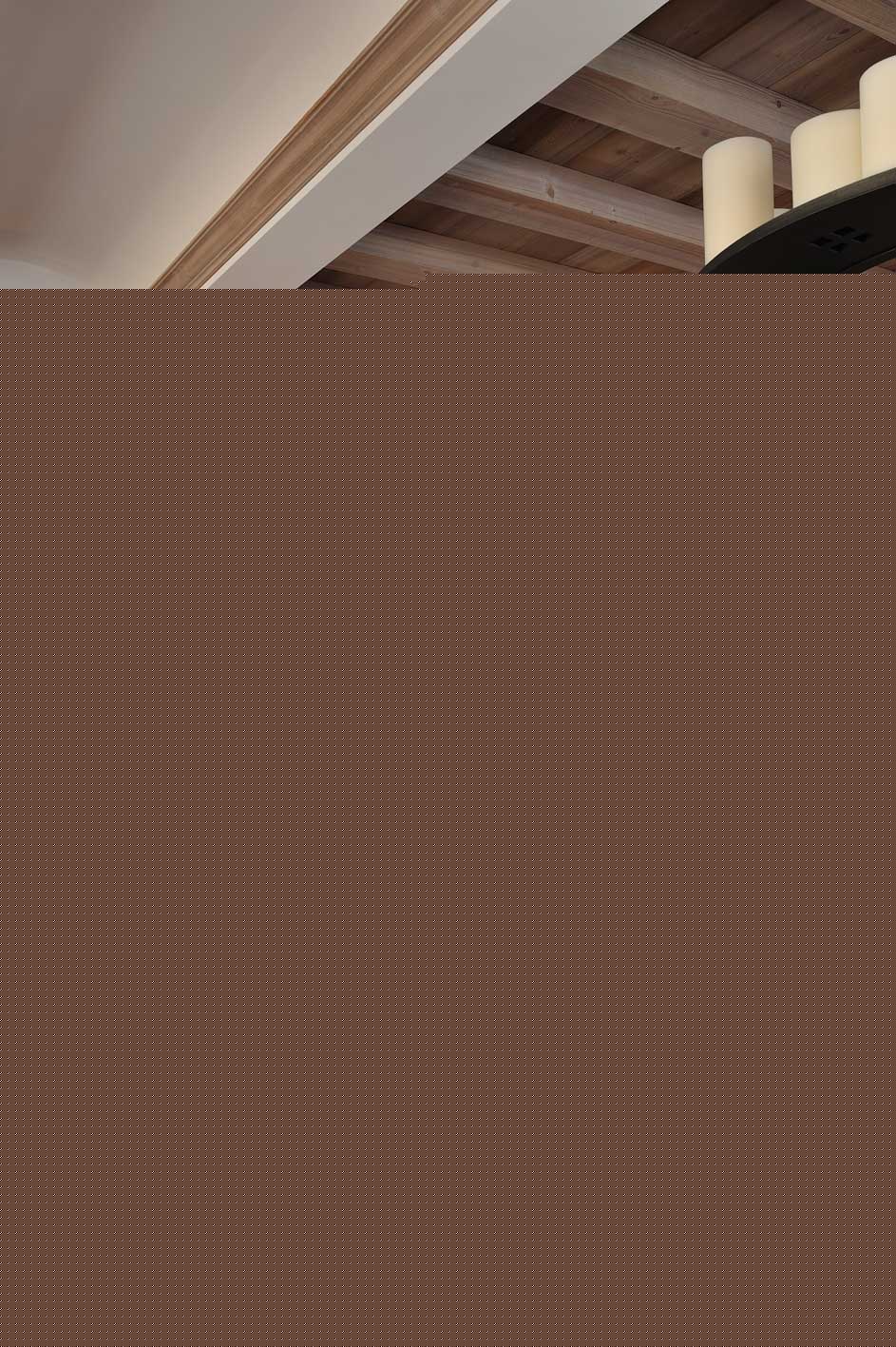 Walking Bear polar-bear Thierry Bisch Contemporary painter animals painting art  nature biodiversity conservation Monaco Prince-Albert Prince-Albert-of-Monaco 