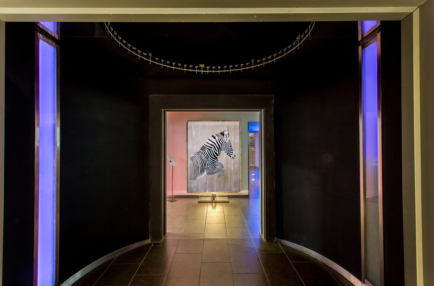 HOTEL MERIDIEN MONACO zebra-grevy`s-threatened-endangered-extinction- Thierry Bisch Contemporary painter animals painting art  nature biodiversity conservation Monaco Prince-Albert Prince-Albert-of-Monaco 