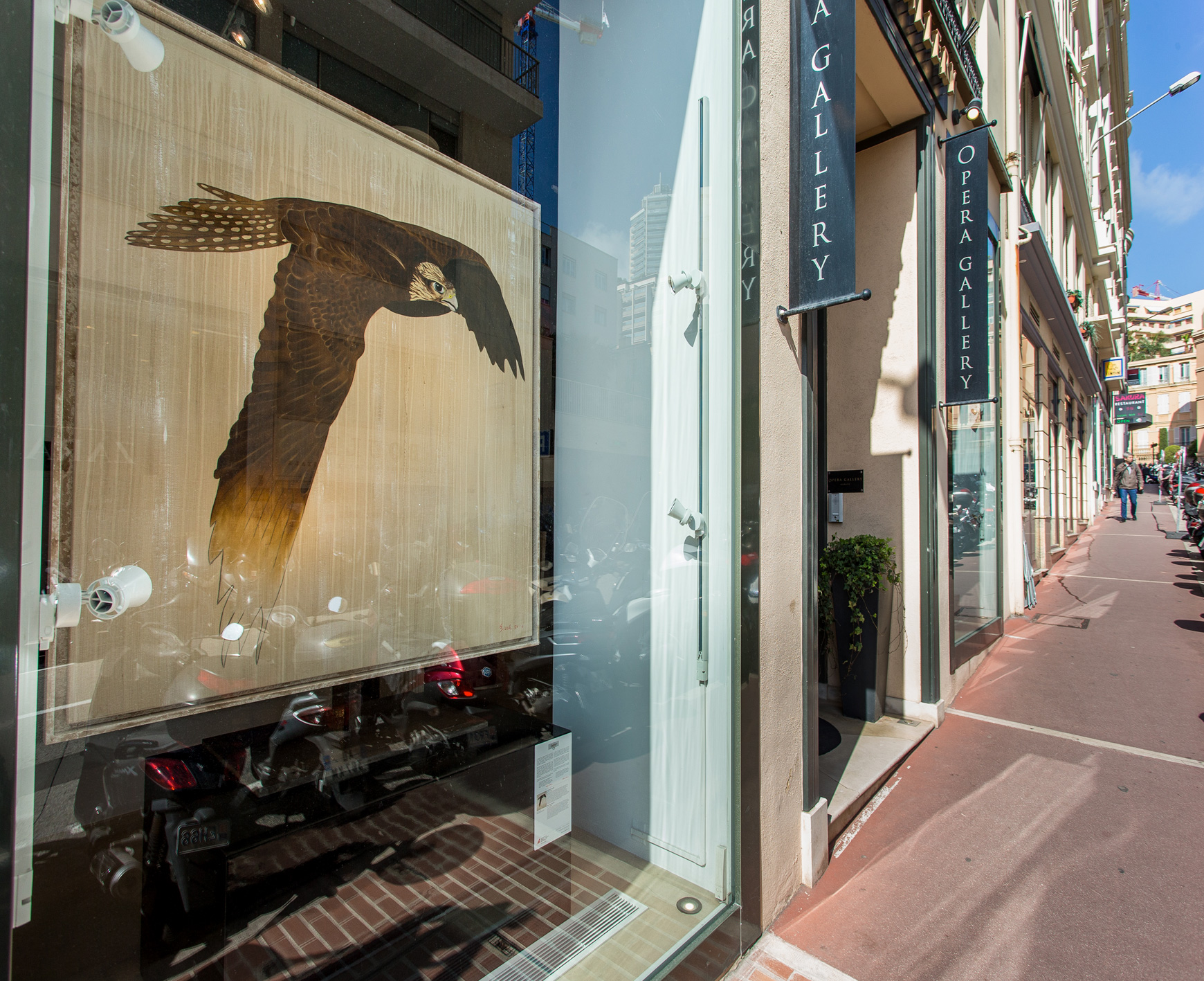 OPERA GALLERY MONACO saker-falcon-falco-cherrug-threatened-endangered-extinction Thierry Bisch Contemporary painter animals painting art  nature biodiversity conservation Monaco Prince-Albert Prince-Albert-of-Monaco 