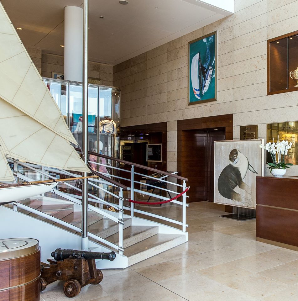 YATCH CLUB MONACO seal-monk-mediterranean-threatened-endangered-extinction-monachus Thierry Bisch Contemporary painter animals painting art  nature biodiversity conservation Monaco Prince-Albert Prince-Albert-of-Monaco 