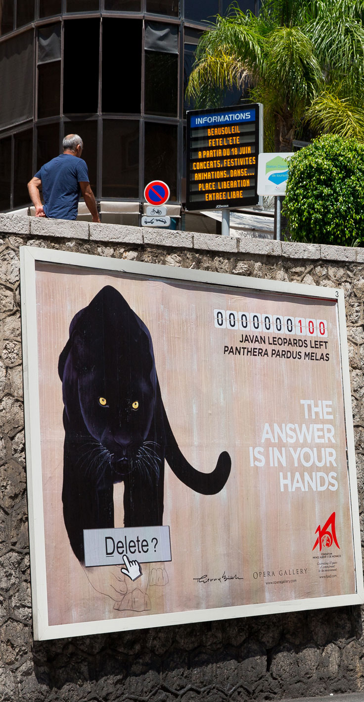 affiche panthere black-panther-java-leopard-threatened-endangered-extinction Thierry Bisch Contemporary painter animals painting art  nature biodiversity conservation Monaco Prince-Albert Prince-Albert-of-Monaco 