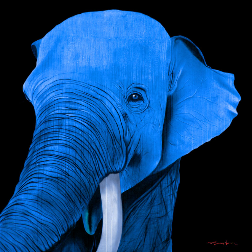 BATUNA DODGER BLUE ELEPHANT Thierry Bisch Contemporary painter animals painting art  nature biodiversity conservation Monaco Prince-Albert Prince-Albert-of-Monaco 