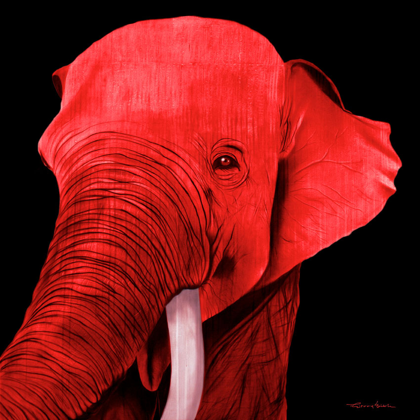 BATUNA FIRE RED ELEPHANT Thierry Bisch Contemporary painter animals painting art  nature biodiversity conservation Monaco Prince-Albert Prince-Albert-of-Monaco 
