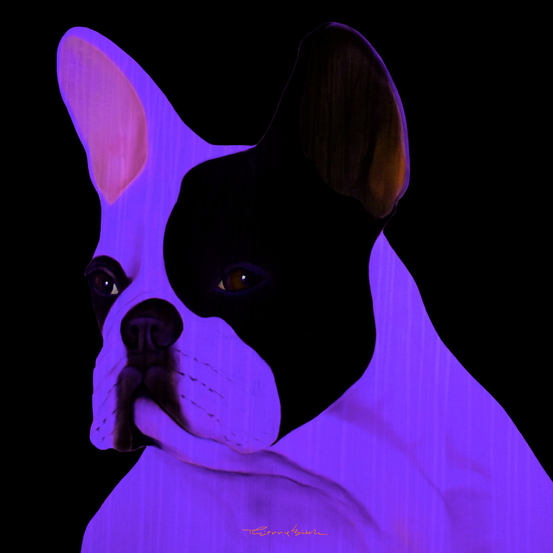 MR-FRENCHY-PURPLE bulldog-french-frenchy Thierry Bisch Contemporary painter animals painting art  nature biodiversity conservation Monaco Prince-Albert Prince-Albert-of-Monaco 