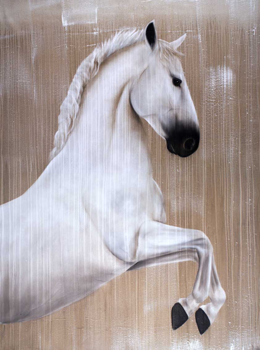 Lipizzaner thoroughbred-horse-Lipizzan Thierry Bisch Contemporary painter animals painting art  nature biodiversity conservation Monaco Prince-Albert Prince-Albert-of-Monaco 