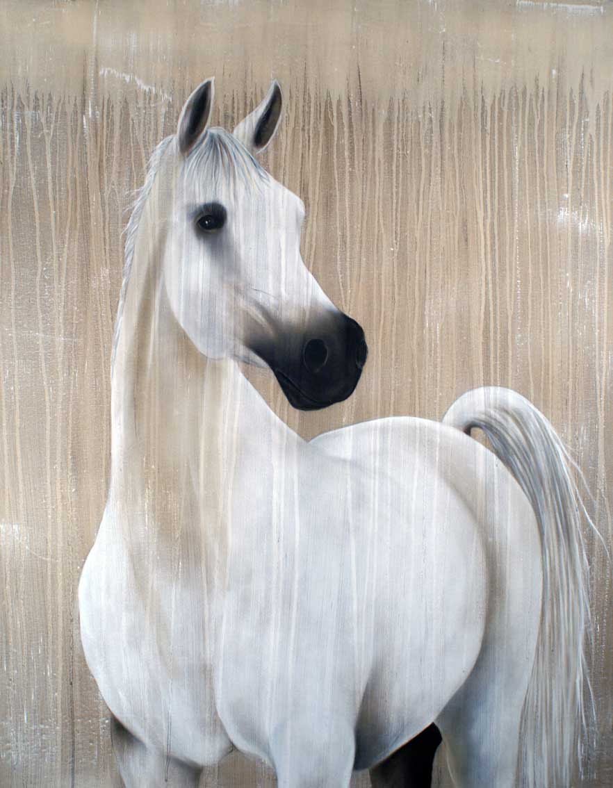 RONERA arabian-thoroughbred-horse Thierry Bisch Contemporary painter animals painting art  nature biodiversity conservation Monaco Prince-Albert Prince-Albert-of-Monaco 