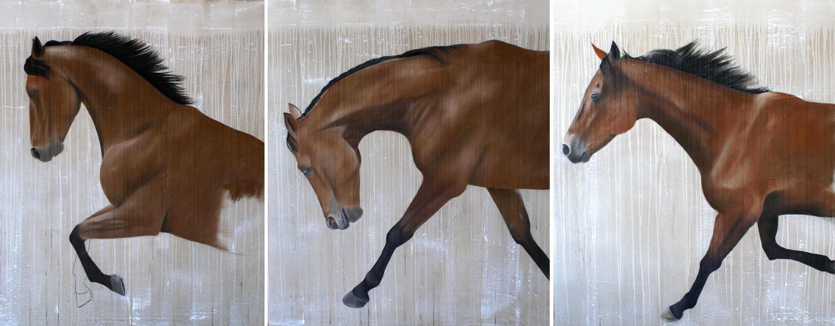 Tryptique-NEWMAC arabian-thoroughbred-horse Thierry Bisch Contemporary painter animals painting art  nature biodiversity conservation Monaco Prince-Albert Prince-Albert-of-Monaco 