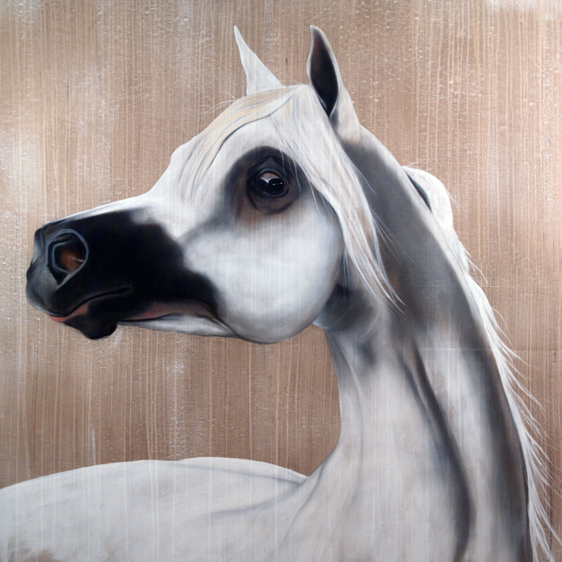 DARASH animal-painting Thierry Bisch Contemporary painter animals painting art  nature biodiversity conservation Monaco Prince-Albert Prince-Albert-of-Monaco 