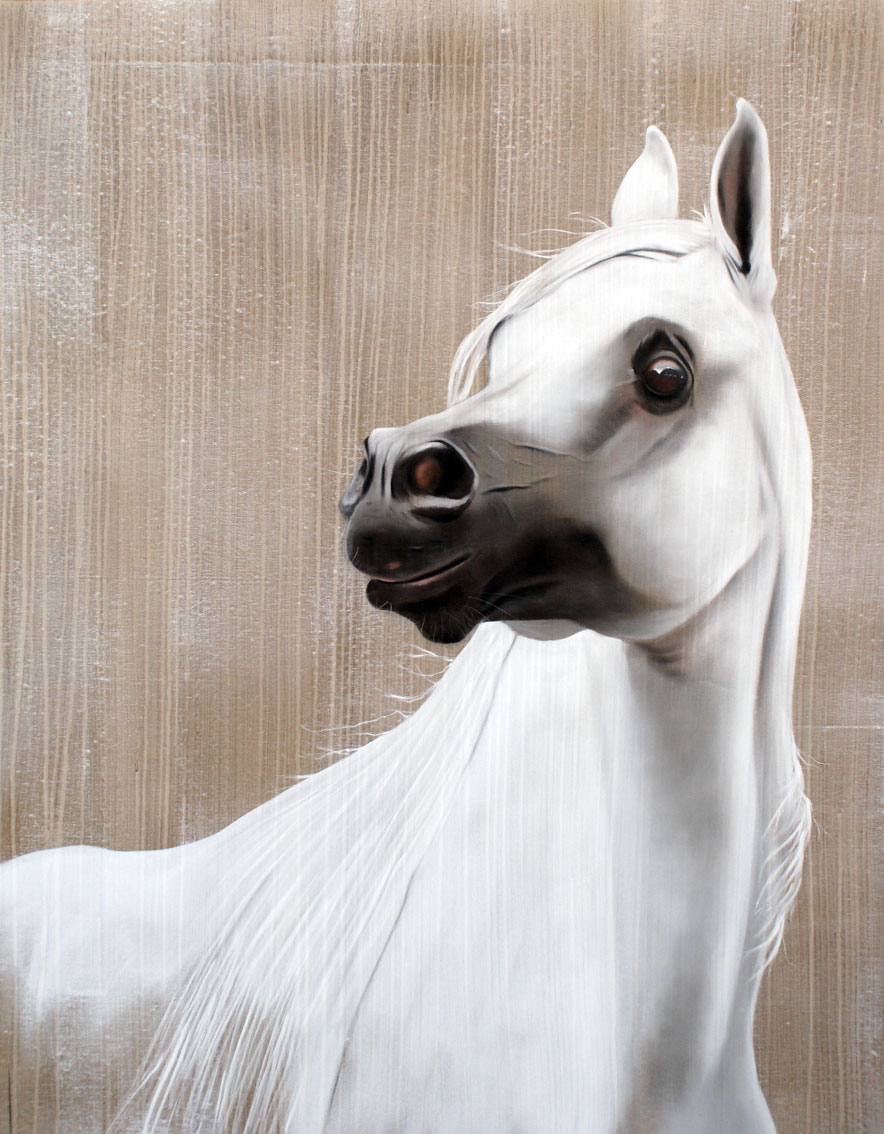 KAHJAR arabian-thoroughbred-horse Thierry Bisch Contemporary painter animals painting art  nature biodiversity conservation Monaco Prince-Albert Prince-Albert-of-Monaco 