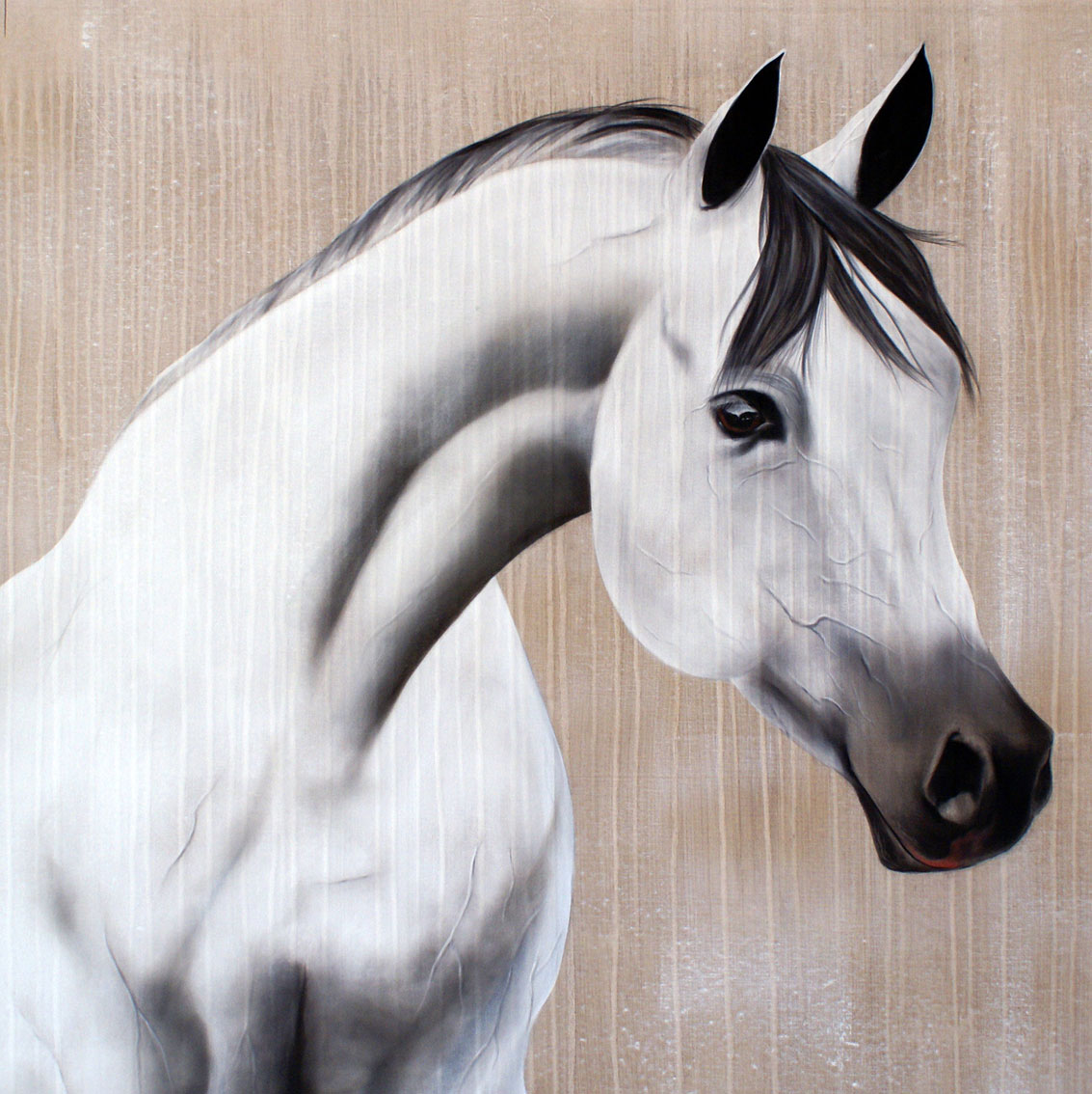 SAYAD horse-arabian Thierry Bisch Contemporary painter animals painting art  nature biodiversity conservation Monaco Prince-Albert Prince-Albert-of-Monaco 