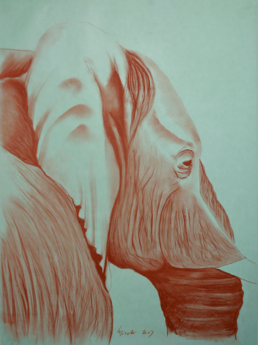 ELEPHANT 009 animal-painting Thierry Bisch Contemporary painter animals painting art  nature biodiversity conservation Monaco Prince-Albert Prince-Albert-of-Monaco 