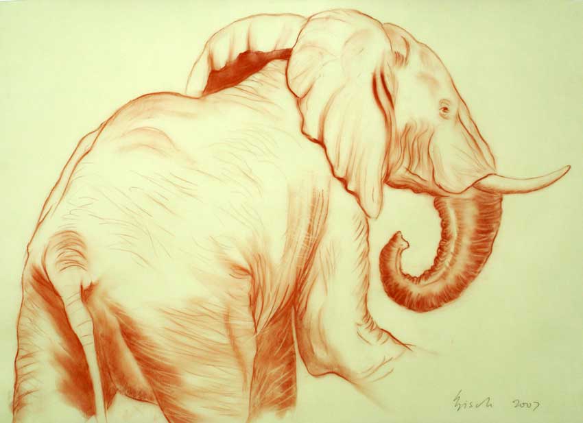 Elephant 001 Elephant Thierry Bisch Contemporary painter animals painting art  nature biodiversity conservation Monaco Prince-Albert Prince-Albert-of-Monaco 