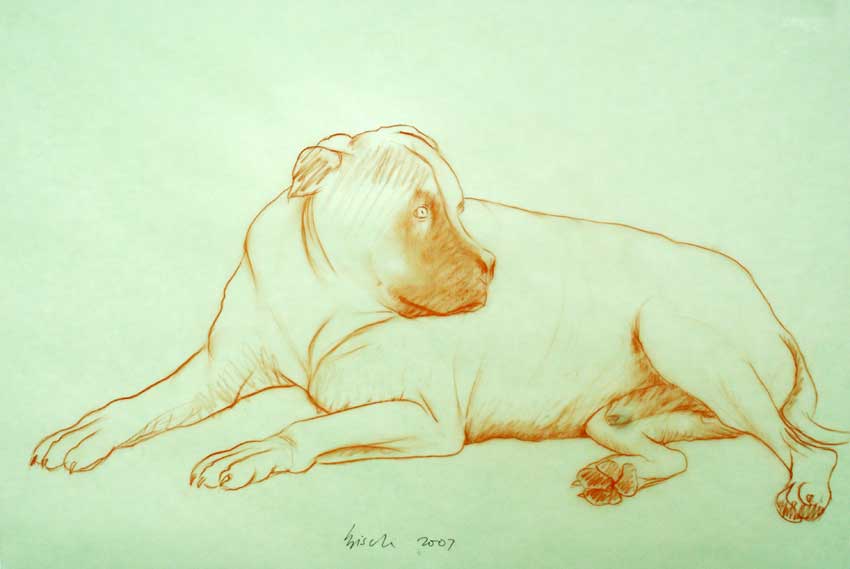 Max animal-painting Thierry Bisch Contemporary painter animals painting art  nature biodiversity conservation Monaco Prince-Albert Prince-Albert-of-Monaco 